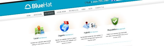 BlueHat Marketing SEO Blog